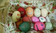 有趣的护蛋行动