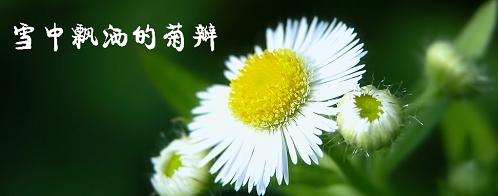 水，我最好的朋友