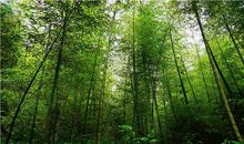 你，站成一道风景