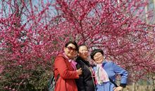 遇见，让友谊之花绽放