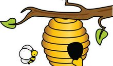 那蜜蜂触动了我