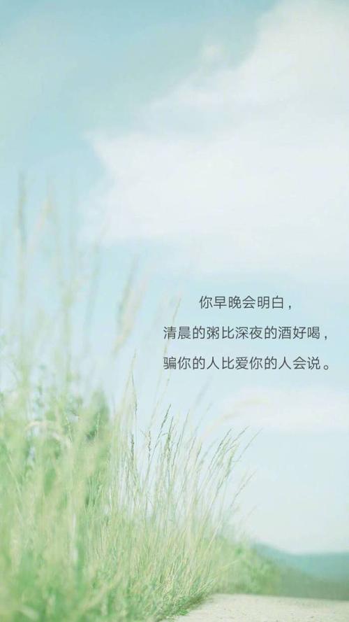 得到，实际上失去