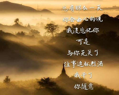 再次遇见你