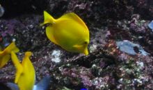 夏日里的一丝清凉