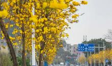 那儿，我迎来了“春天”