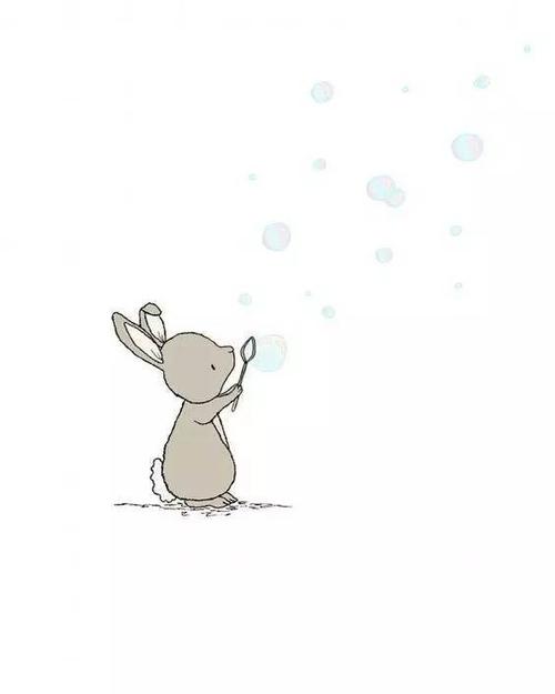 我和我的小白兔