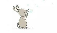 我与我家的小白兔