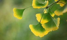 今年春天我很愉悦