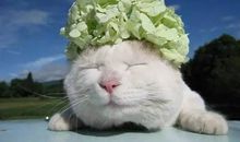 温暖的一幕进入我的视线