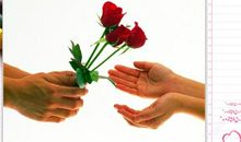 有一种爱叫信任