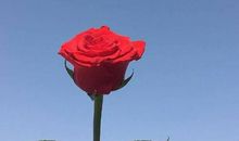 这，是一种温暖的享受