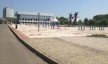 如果有来生，我想活成一棵无名小草