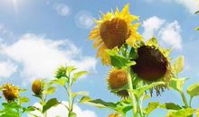 我和明天的自己有个约定