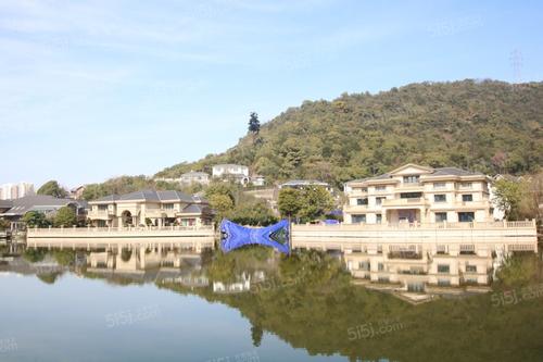 我家后面的桃园