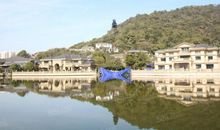 我家楼后的桃源