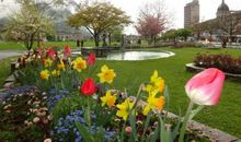 微风进入了我的视线