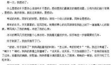 那一次，我选择了什么作文600字