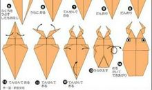 我是个会折纸的女孩儿