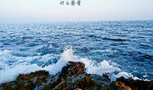 我幸运地遇见了它