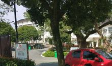 我是社区小主人