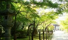 钢笔进入我的视线