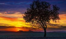 人生漫漫，需要路灯