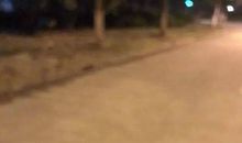 这一刻我震撼了