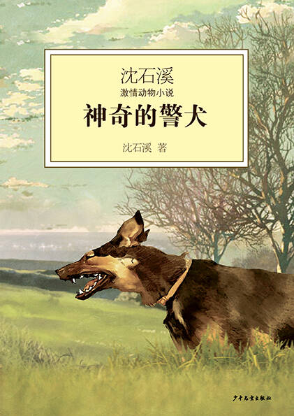 关于“沉士xi小说”的思考