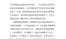 我的长征观后感