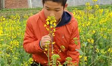 平凡的寒假不平凡