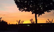 那棵树，如此美好