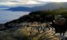 冬天悄悄地来了