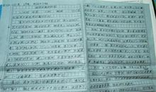 拾起什么的点滴作文800字