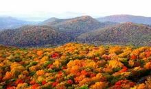 五彩缤纷的四季