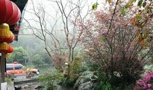 等待一场春暖花开