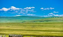 内蒙古大草原之旅