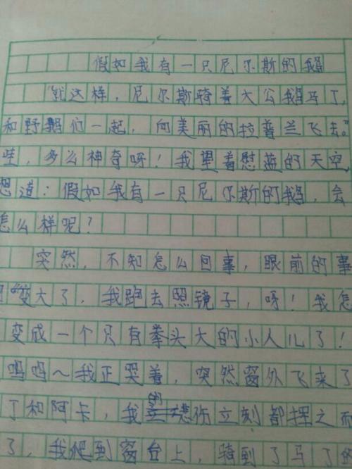 如果我是鸟，200个字