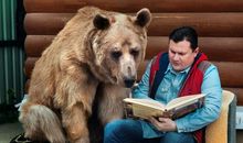 爱看电视的棕熊