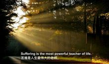 苦难造就人生辉煌