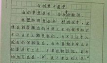 拾起什么的点滴作文