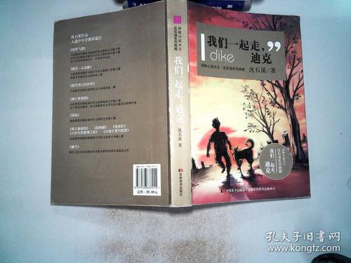 关于“让我们一起走，迪克”的思考