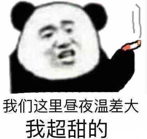 我真的很抱歉