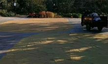 不一样的国庆节