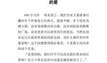 最温暖的陪伴作文