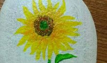 关于石头画的作文