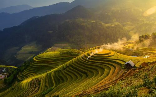 美丽的梯田
