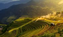 美丽的梯田