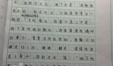 我心目中的英雄作文