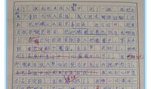 我选择了什么作文