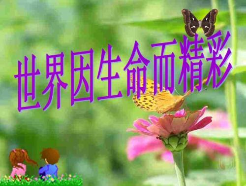 世界令人兴奋
